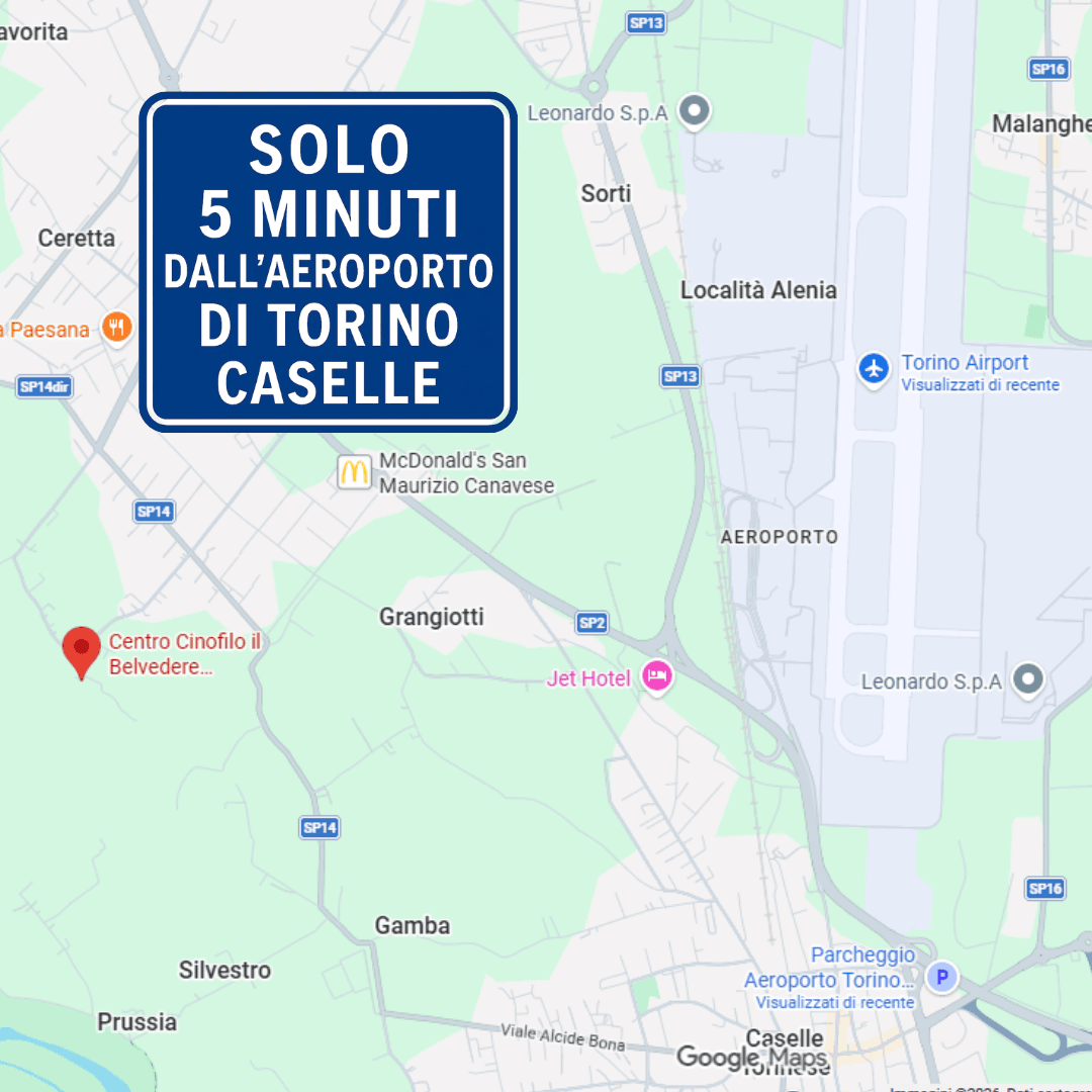 L'immagine mostra la distanza ed il tempo di percorrenza in auto (5 minuti) dal Centro cinofilo il Belvedere all'aeroporto di Torino